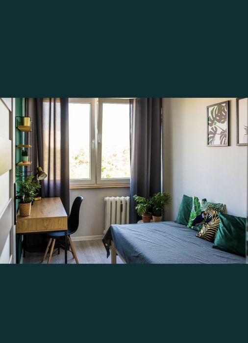 Pokój do wynajęcia/ Blisko UMK
