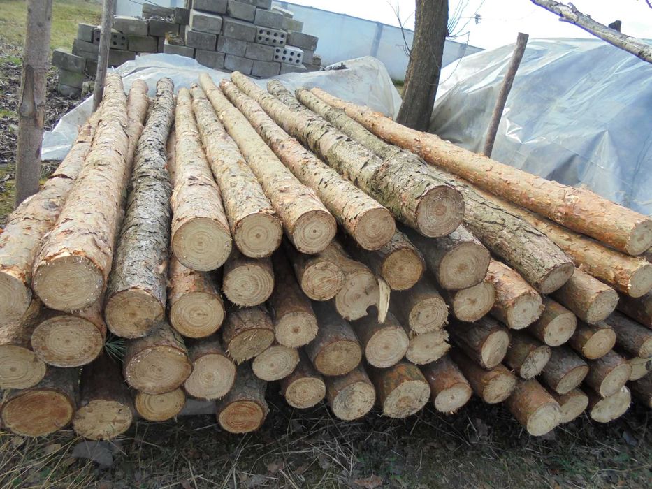 Słupki, stemple, żerdzie