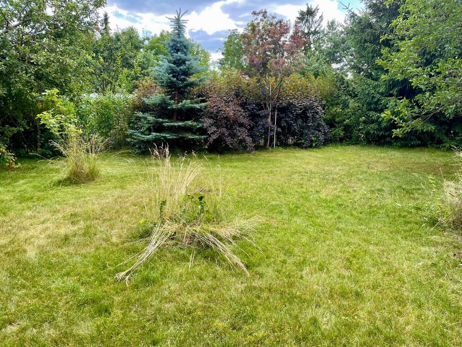 Działka ROD „Wiślany Brzeg” – 360 m² - Widok 2
