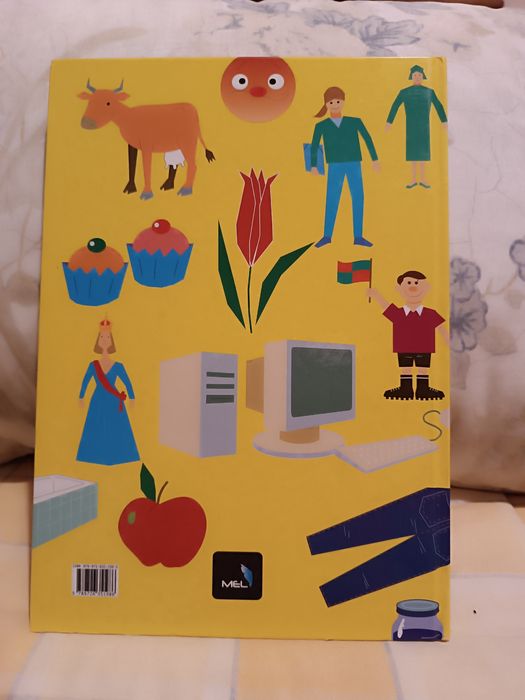 Livro Aprender  Inglês. Dicionário Visual Português Inglês