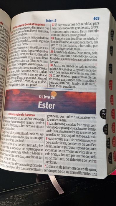 Bíblia da Mulher Cristã Floral Dália Pink