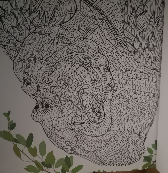 Livro de colorir - animalario