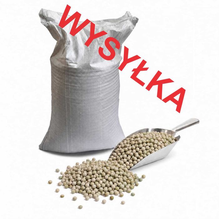 Groch zielony dla ptaków ryb CZYSZCZONY wysyłka 25kg