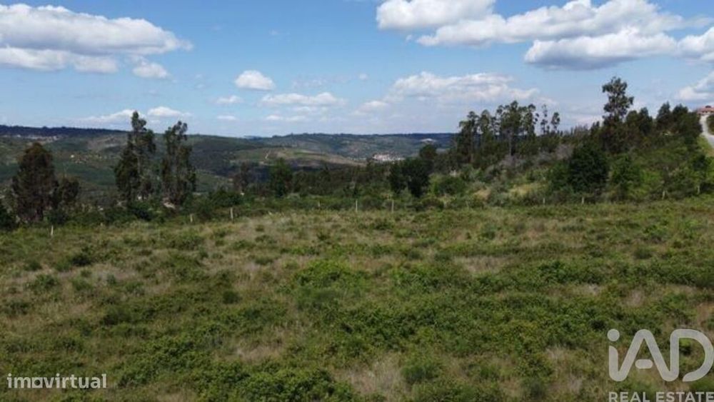 Terreno para construção em Seixo da Beira de 48000,00 m2