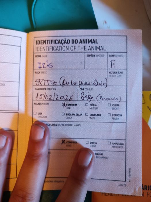Menina Lulu com 8 meses