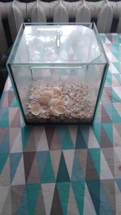 Продам акваріум на 5 літрів