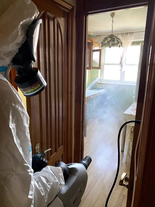 уничтожение тараканов травля блох,удаление плесени ,грибка Дезинфекция