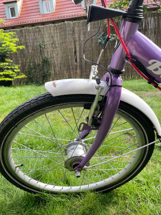 Rower Batavus Koala 22