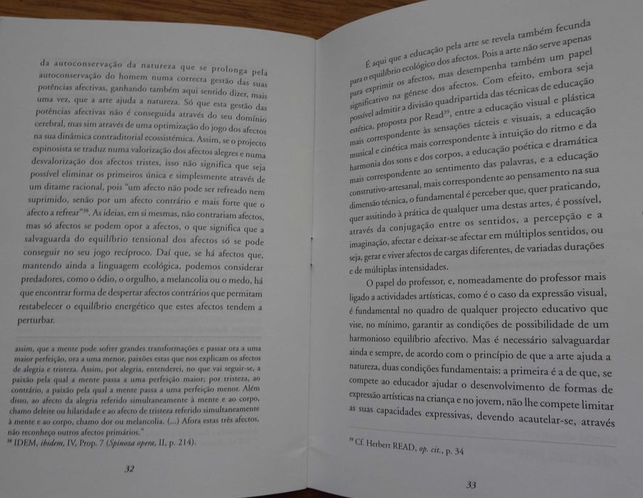 Da Educação Pela Arte A Uma Ecologia dos Afetos