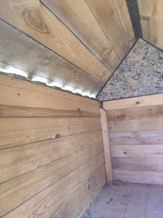 Собача буда великих розмірів