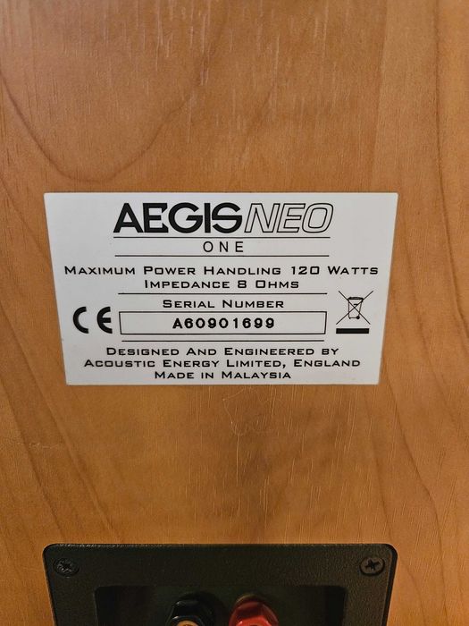 Głośniki Acoustic Energy Aegis Neo One – używane, stan bardzo dobry
