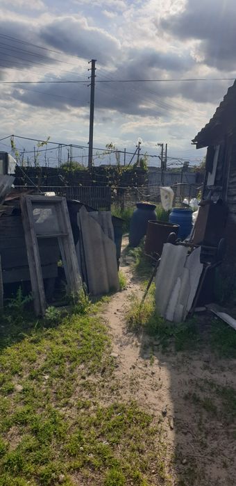 Ділянка 18,5 сот поруч з лісом, пилорама, госп.будівлі,с. Сінгури