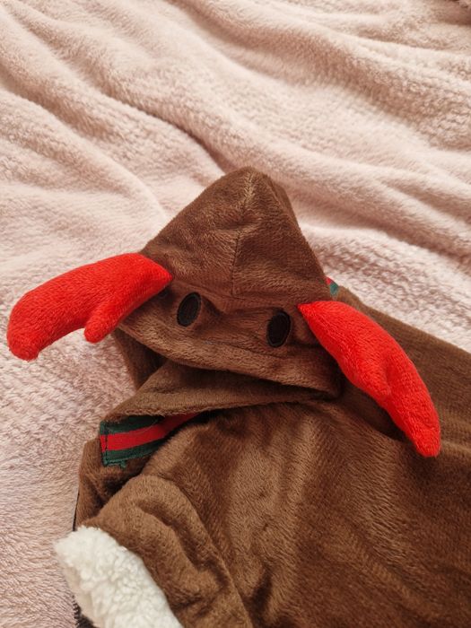 Ubranko świąteczne dla psa