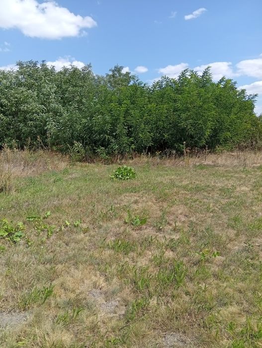 Земельна ділянка