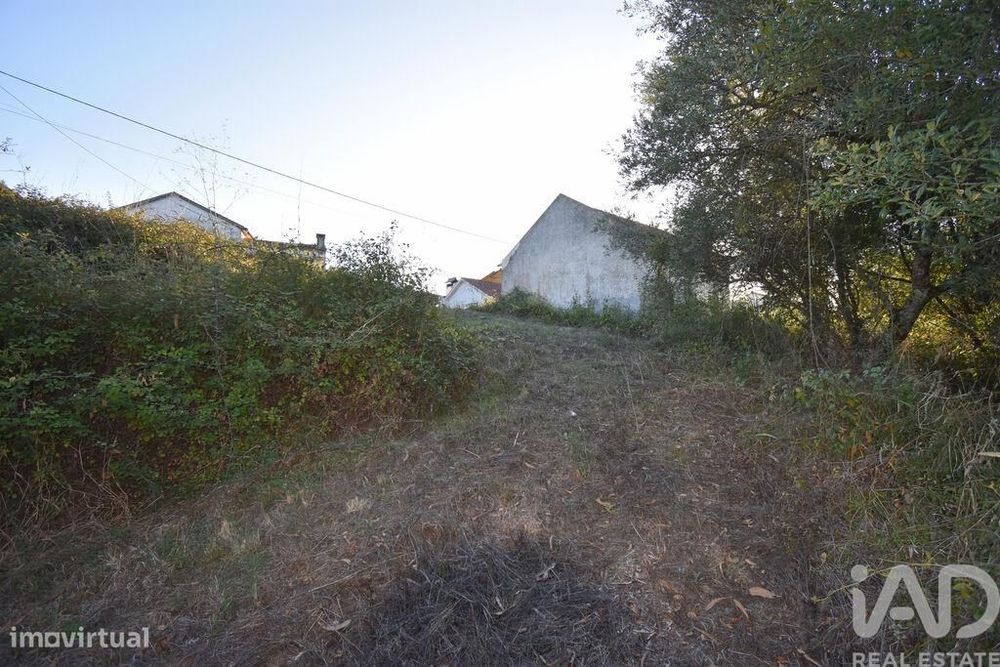 Terreno para construção em Pelariga