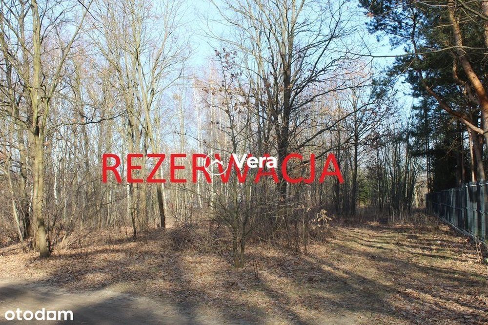 Działka, Milanówek