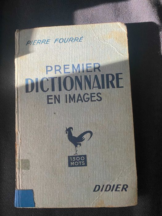 livro premier dictionnaire en images pierre fourré