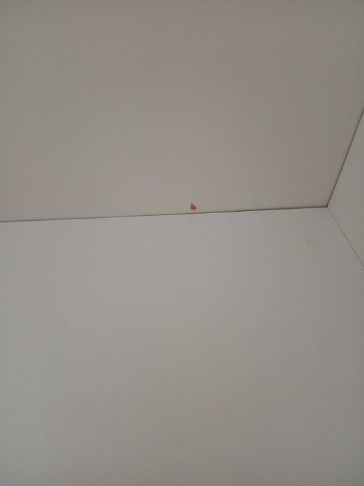 Estante 5 prateleiras