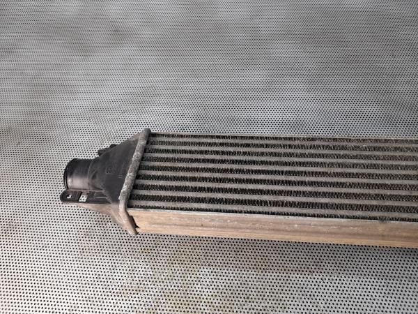 Radiador do intercooler FIAT Bravo II (198_)
