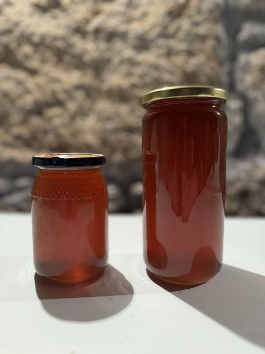 Mel Biologico Puro da Montanha