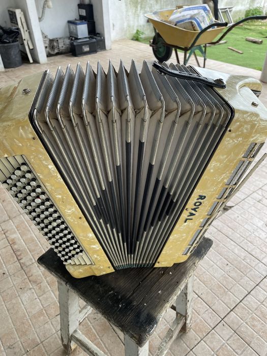 Acordeon com mala de transporte