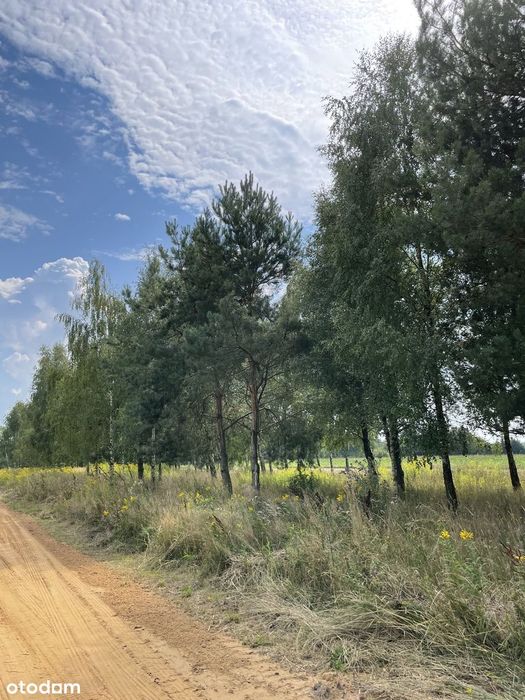 Działki budowlane z WZ blisko plaży i zalewu 1000 m², 3000 m² i 7618 m² – pohled 2