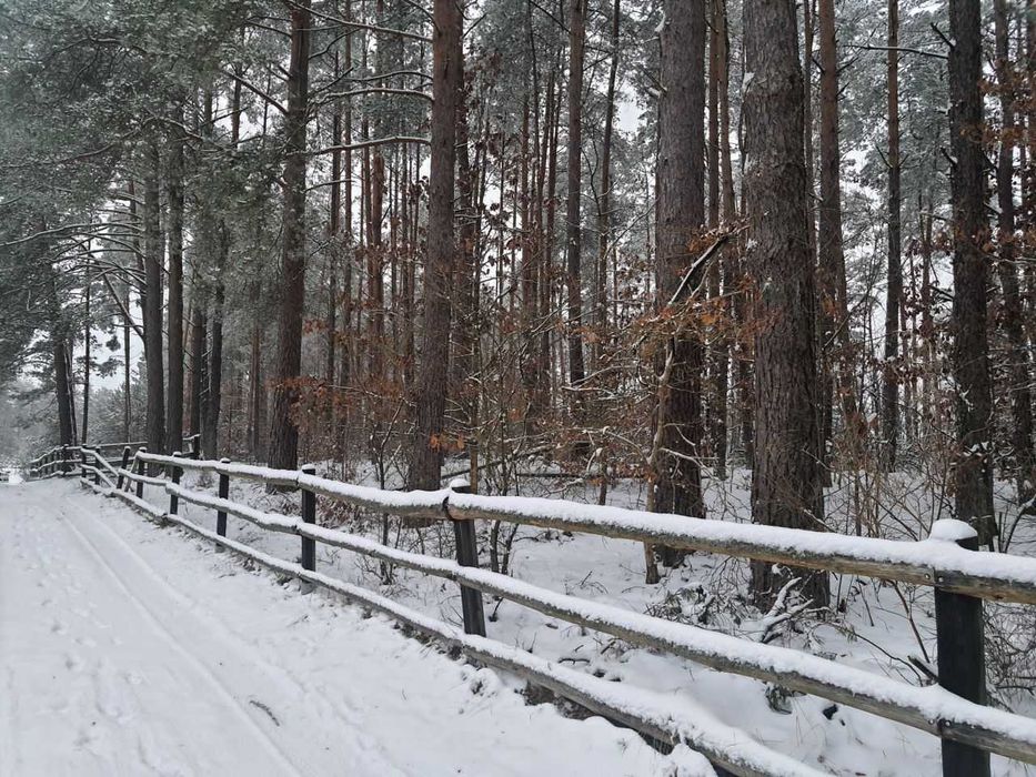 Borek Kamienny działka 3270 m2 nad jeziorem Gowidlino
