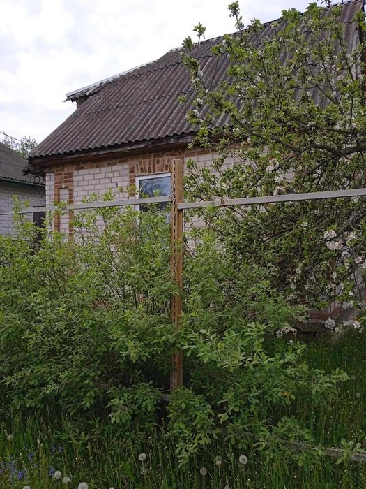 Продам дачу в Барашівці (3 км від Житомира).