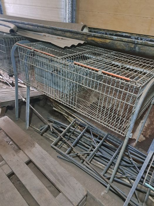 Coelheiras em bom estado