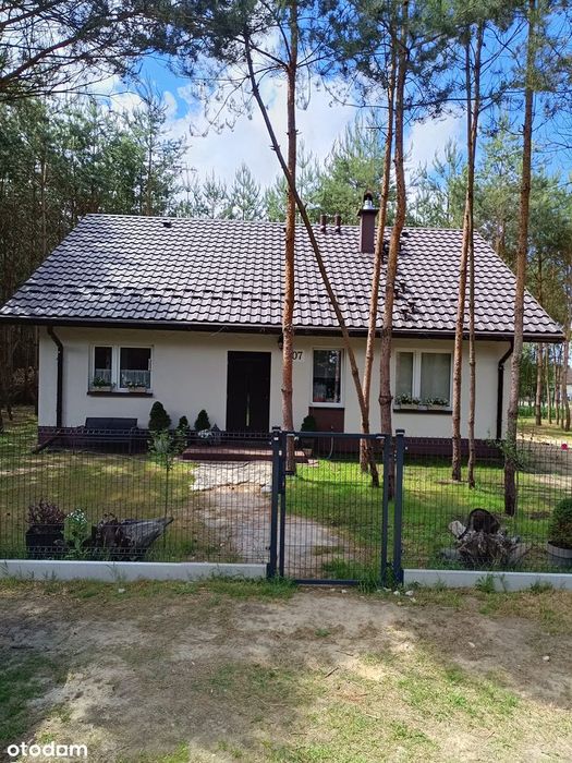 Dom, Jaźwiny