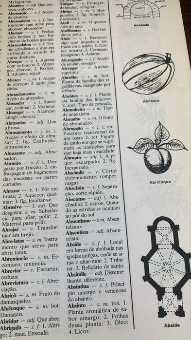 Dicionário Básico e ilustrado