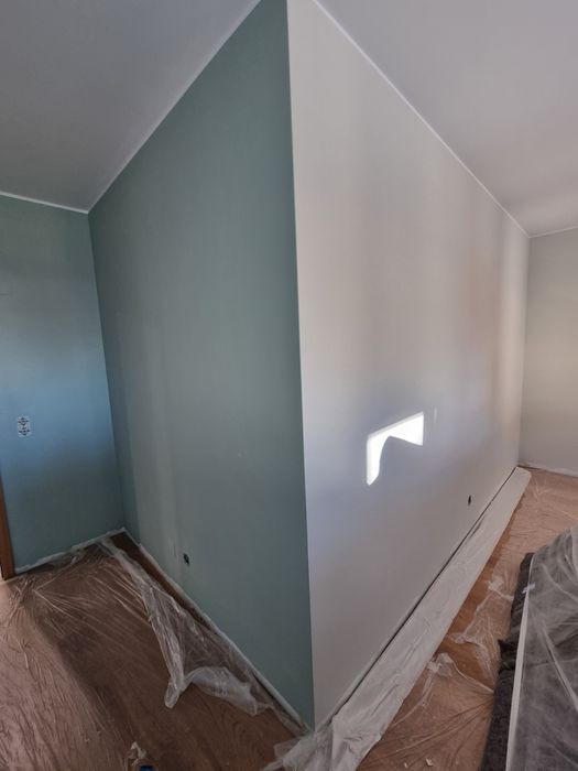 Pintura profissional