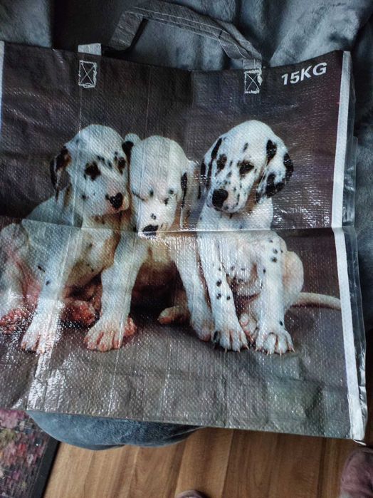 Nowa   Miska   2 szt Dalmatyńczyki Nowe + gratis torba