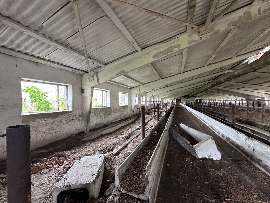 Продам ферму в с. Живачів від Власника, споруди 20,400м2, 16,1га землі
