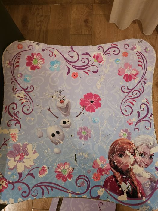 Frozen-themed table with benches64750564159619121
