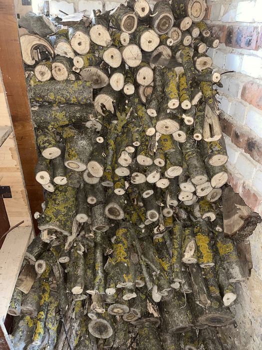 Продам дрова з горіха.