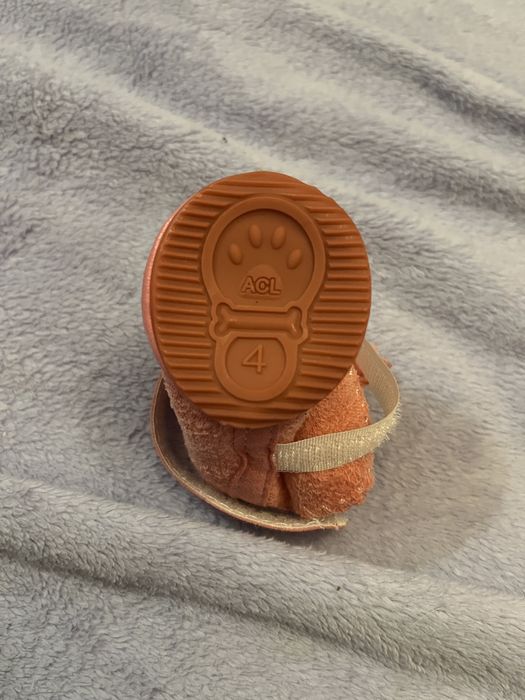 Обувь для собак