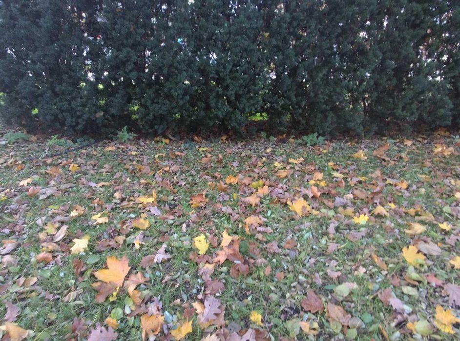 Dron 4K Yuneec Breeze (x2 Nowe baterie, sprawny) + FPV