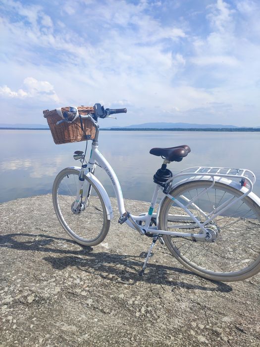 Rower Le Grand Lille 7 Biały