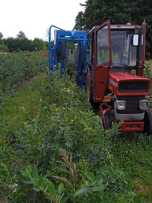 Kombajn braud do borówki porzeczki aronii itd