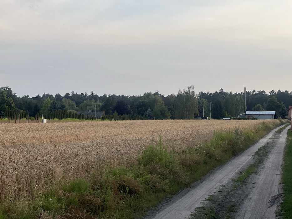 Działka budowlana Jawidz gm. Spiczyn