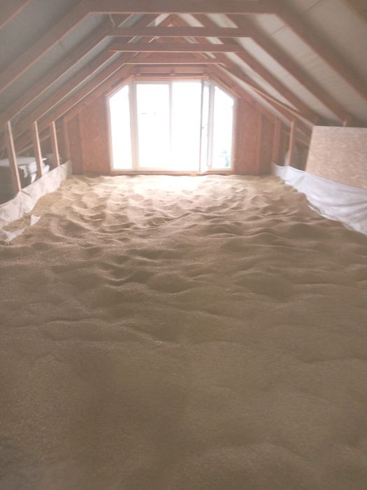 пшениця пшениця 12