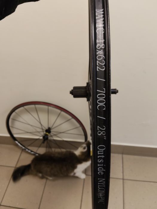 Koła szosowe Mavic Aksium 700c