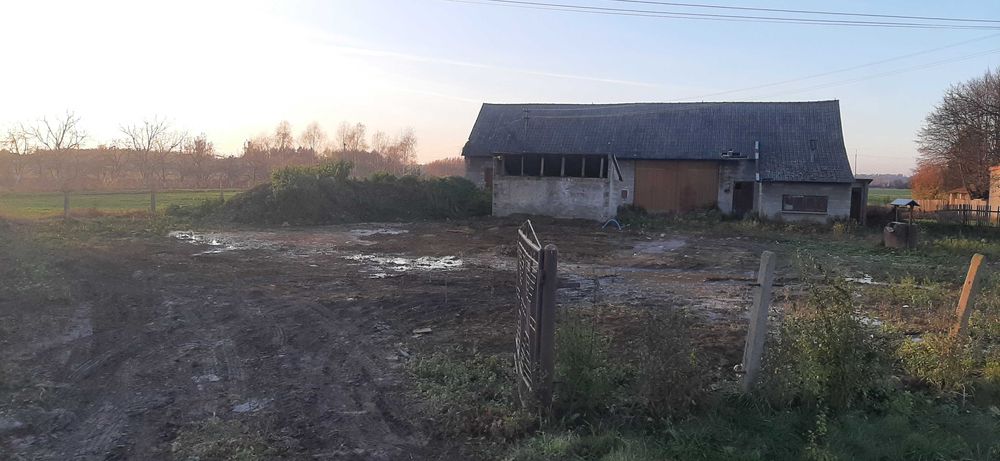 Wyburzenia- Rozbiórki-Drogi Dojazdowe