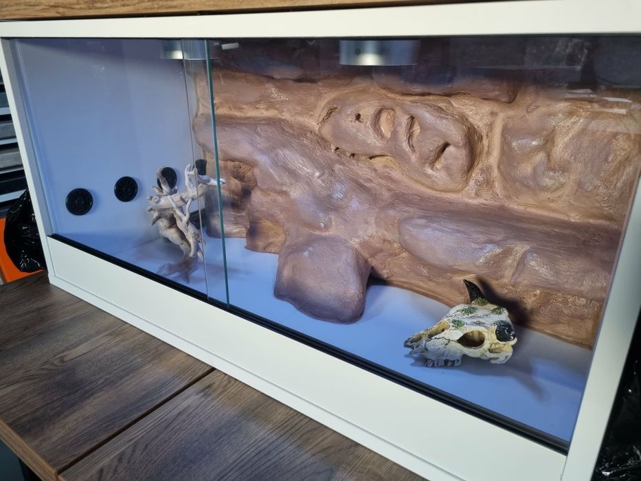 Tarrarium podświetlane.