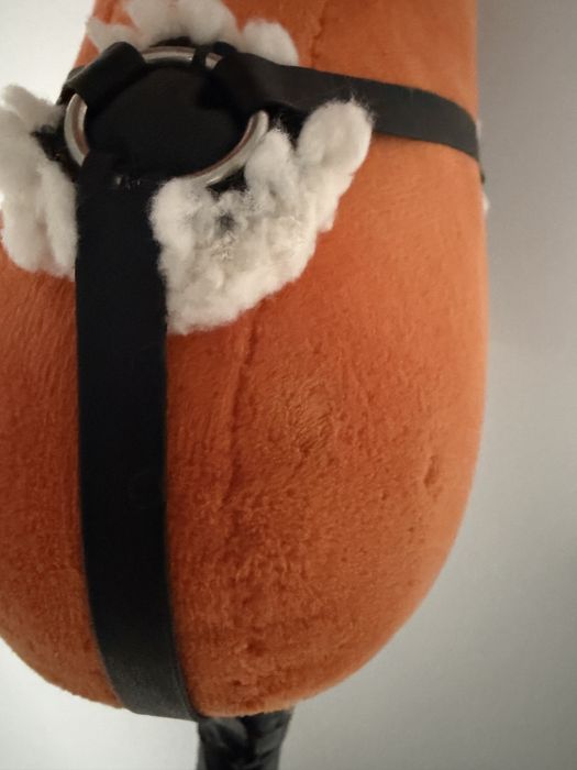 Hobby horse z piekną odmianką