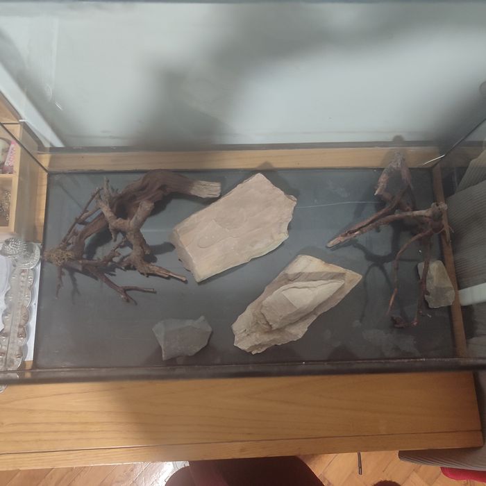 Vendo aquário com pedras e galhos para efeito