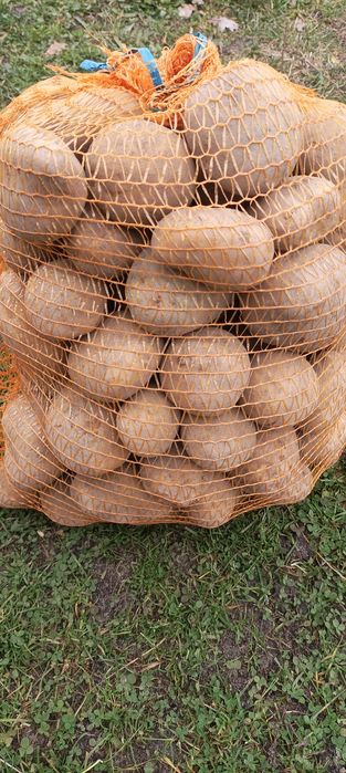 Ziemniaki jadalne odmiana Denar worki 15 kg