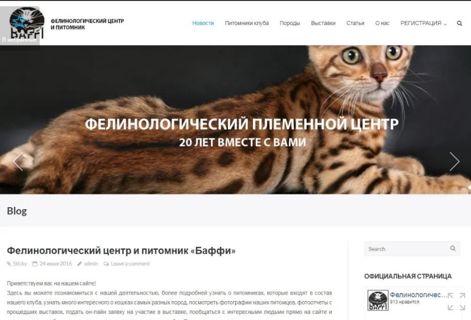 Создание и разработка сайтов 1890 грн + Гугл индекс. Продвижение в ТОП