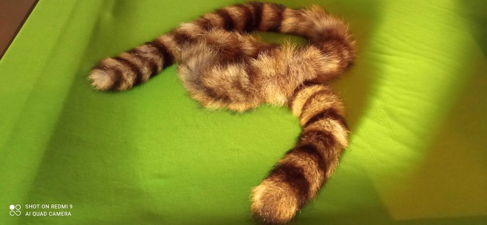 Estolas de pele genuína